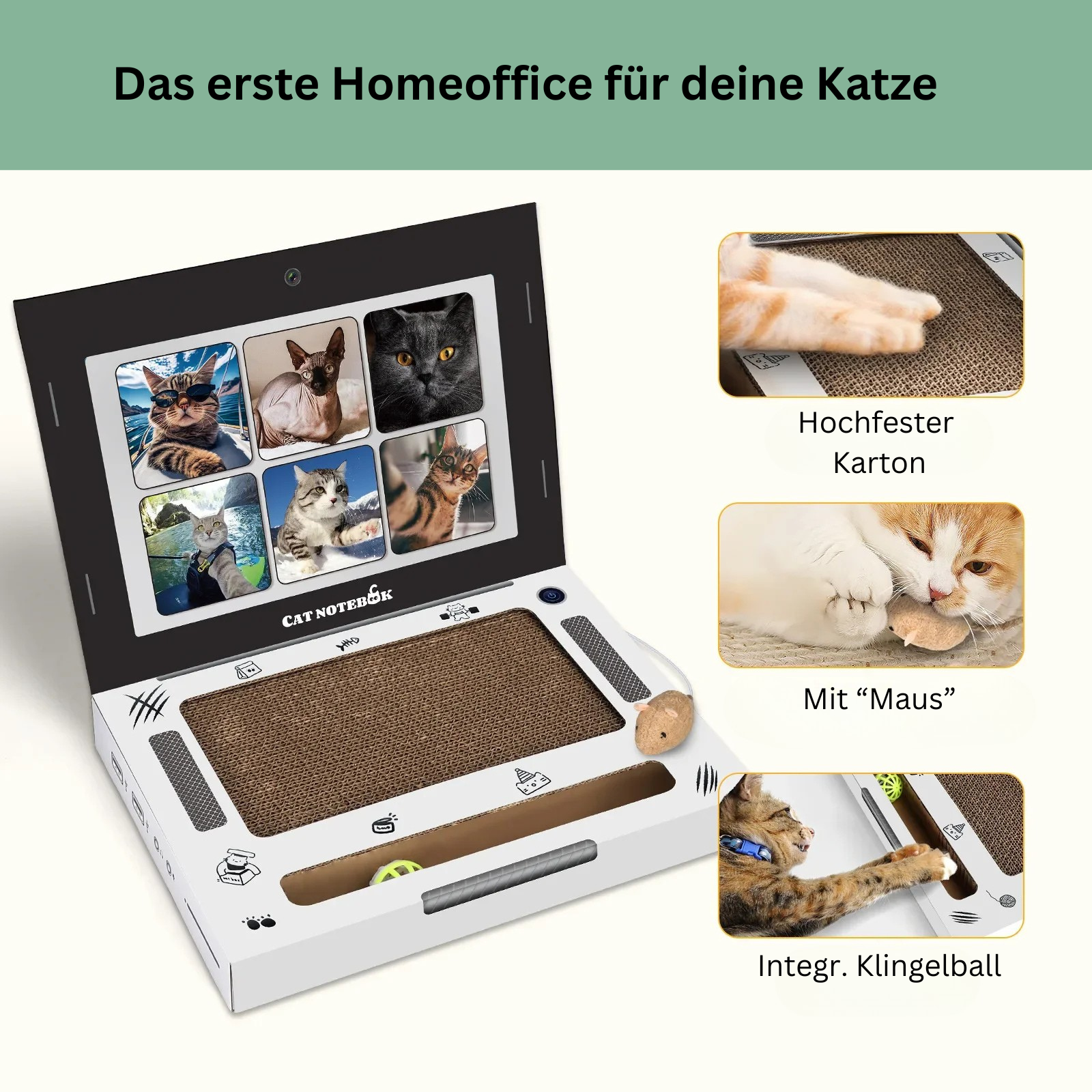 Lomorino Katzenlaptop aus Karton