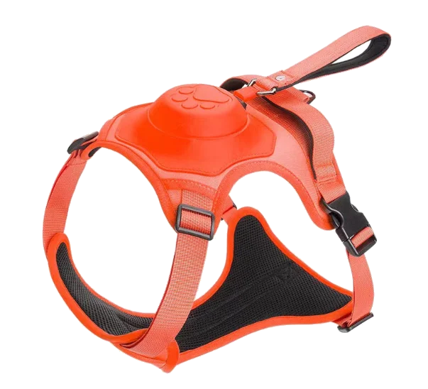 Lomorino Free Geschirr mit integrierter Rollleine