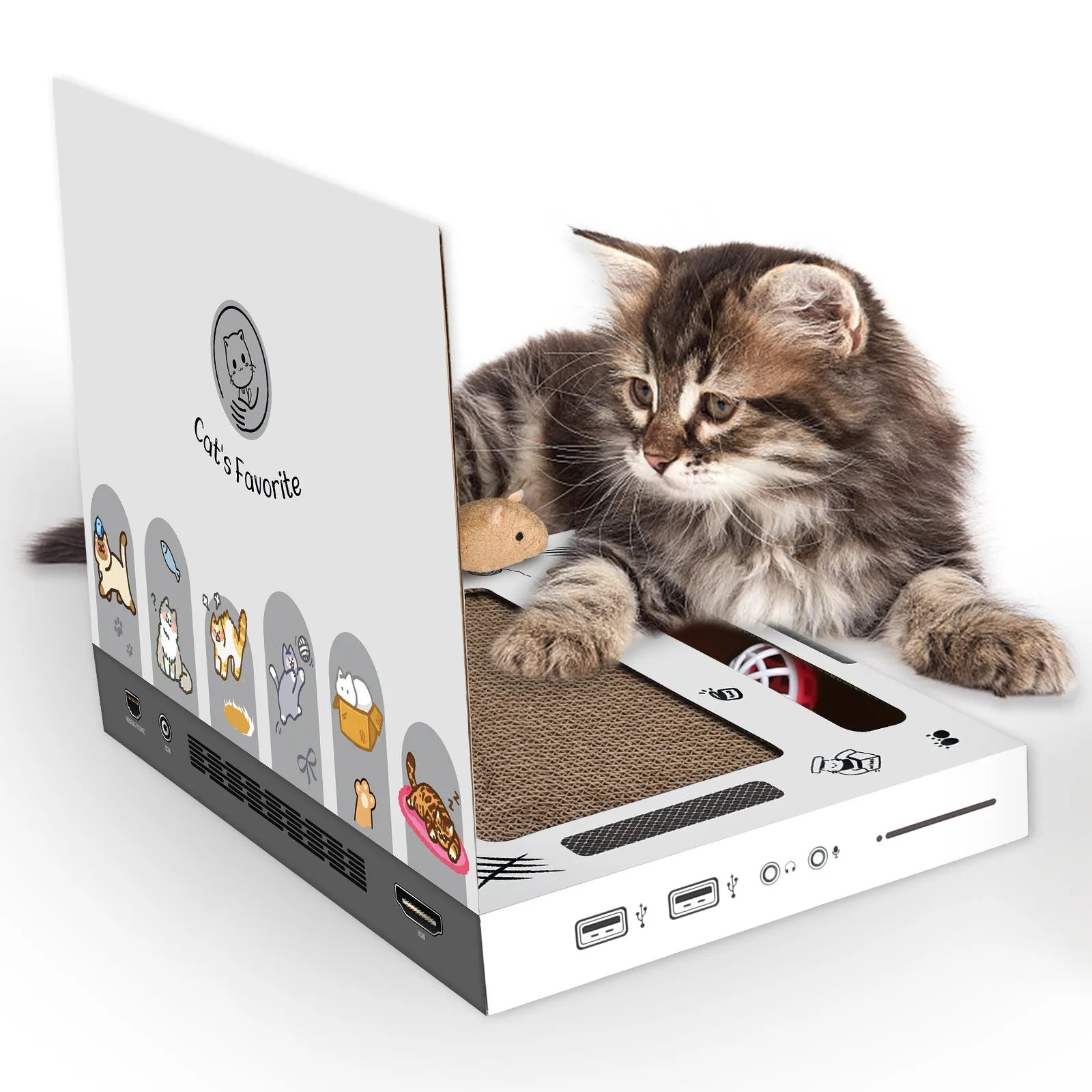 Lomorino Katzenlaptop aus Karton